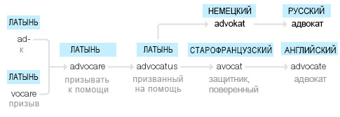 Этимология слова Адвокат